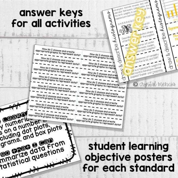 Displaying Numerical Data Interactive Notebook Activities (6SP4) - Image 3
