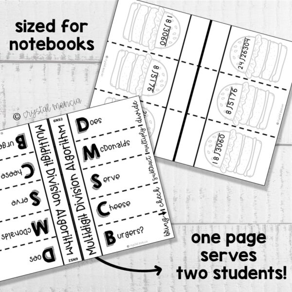 6NS2 Multidigit Division