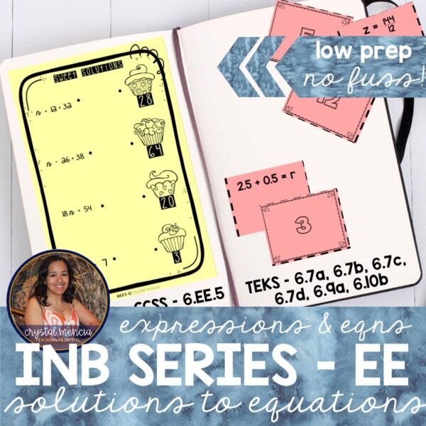 True Solutions for Equations & Inequalities Interactive Notebook Activities (6EE5)
