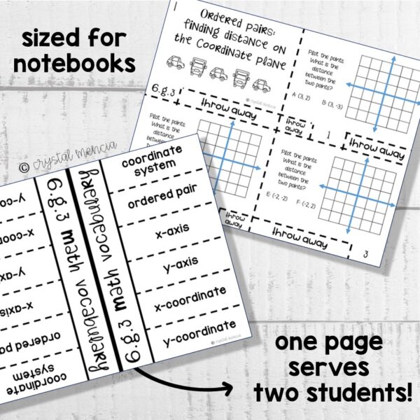 Graphing Polygons on the Coordinate Plane Interactive Notebook (6G3) - Image 2