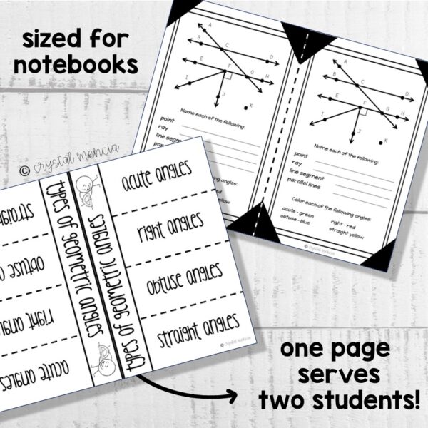 4G1 Points, Lines, Rays, and Angles Interactive Notebook Series - Image 2