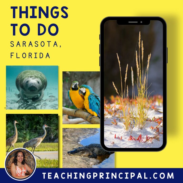 Nature Things to Do in Sarasota