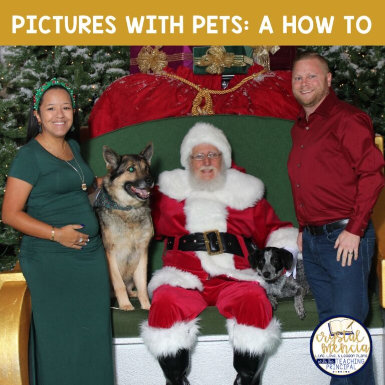 pet photo tips
