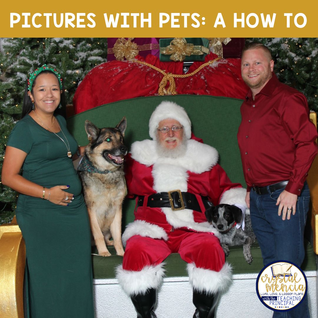 pet photo tips